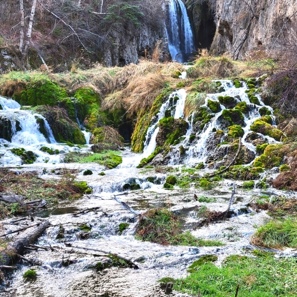 Meet your Posher, @nejen - Picture 1 of 2